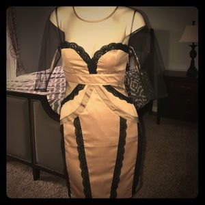 Beautiful tan & black silky, mesh and Lace dress
